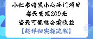 小红书暗黑小众冷门项目每天变现2张当天可能就会有收益-泱泱学习社