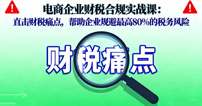 电商企业财税合规实战课，直击财税痛点，帮助企业规避最高80%的税务风险-泱泱学习社