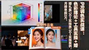 PR调色实战课：色彩理论+工具实操+婚礼医美/30+实操案例，月接单超2万-泱泱学习社