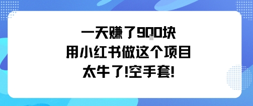 一天挣了9张用小红书做这个项目太牛了，空手套-泱泱学习社