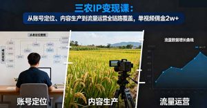 三农IP变现课：从账号定位、内容生产到流量运营全链路覆盖，单视频佣金2w+-泱泱学习社