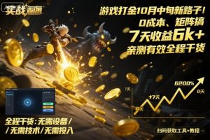 游戏打金10月中旬新路子！0成本、矩阵搞，7天收益6k+，亲测有效全程干货【揭秘】-泱泱学习社