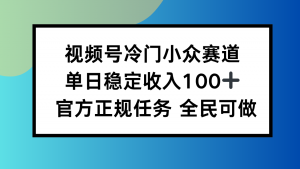 视频号小众赛道，单日稳定收入100+，适合所有人-泱泱学习社