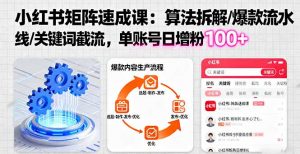 小红书矩阵起号速成课：算法拆解/爆款流水线/关键词截流 单账号日增粉100+-泱泱学习社