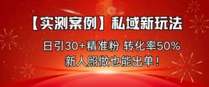 【实测案例】私域新玩法，日引30+精准粉，转化率50%，新人照做也能出单！-泱泱学习社