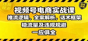视频号电商实战课：推流逻辑、全案解析，话术框架，稳流量及违规规避等-泱泱学习社