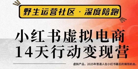 小红书虚拟电商14天变现训练营3.0，​虚拟产品，2025年普通人在小红书最后的搞钱机会-泱泱学习社