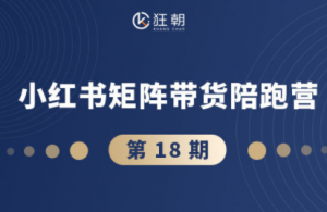 盗坤·抖音小红书视频号短视频带货与直播变现(11-18期)-泱泱学习社