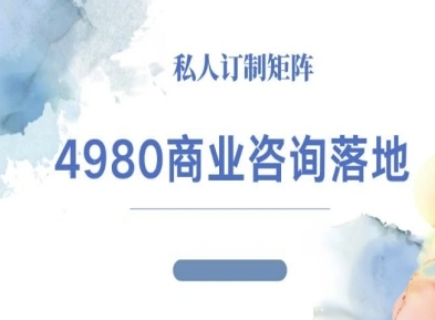 4980商业咨询师落地课程-ip运营高客单教程-泱泱学习社