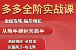 大炮·拼多多全阶实战课程(更新10月)-泱泱学习社