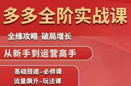 大炮·拼多多全阶实战课程(更新10月)-泱泱学习社