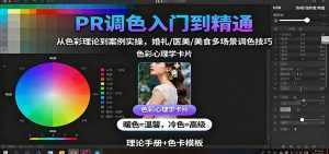 PR调色入门到精通：从色彩理论到案例实操，婚礼/医美/美食多场景调色技巧-泱泱学习社