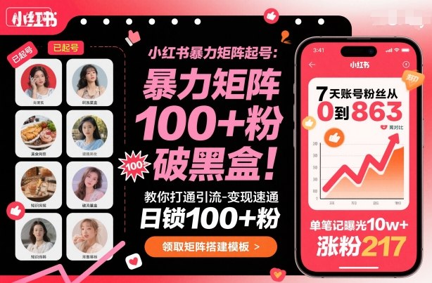 小红书暴力矩阵起号，教你打通引流-变现速通，日锁100+粉，破流量黑盒-泱泱学习社