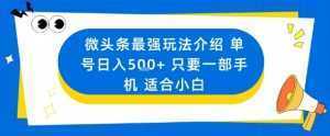 微头条最强玩法介绍一个号日入5张+只要一部手机适合小白-泱泱学习社