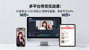 多平台带货实战课18.0：抖音算法/小红书笔记/视频号直播，单账号月GMV50w+-泱泱学习社