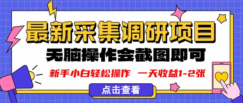 新版采集调研项目，截图上传即可，无脑操作，日收益1-2张-泱泱学习社