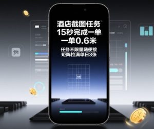 酒店截图任务,15秒完成一单,一单0.6米,任务不限量随便接,矩阵拉满单日3张【揭秘】-泱泱学习社