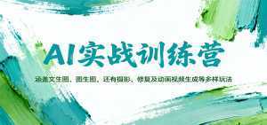 AI实战训练营：涵盖文生图、图生图，以及摄影、修复及动画视频生成等多样玩法-泱泱学习社
