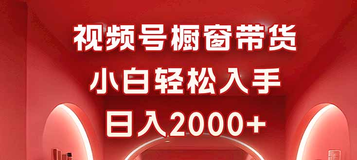 视频号橱窗带货，小白轻松入手，日入2000+-泱泱学习社