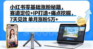 小红书零基础涨粉秘籍，赛道定位+IP打造+痛点挖掘，7天见效 单月涨粉5万+-泱泱学习社