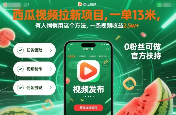 西瓜视频拉新项目，一单13米，有人悄悄用这个方法，一条视频收益2.5w+(附详细教程)-泱泱学习社