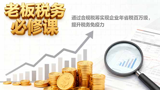 老板税务必修课，通过合规税筹实现企业年省税百万级，提升税务免疫力-泱泱学习社