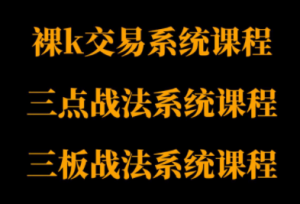 半山猎人三套系统课程(裸K体系、三点体系、三板体系)-泱泱学习社