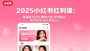2025小红书红利课：掌握账号定位/爆款内容/变现路径，新手起号30天变现2w+-泱泱学习社