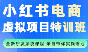 陆明明·小红书虚拟项目特训班(更新9月)-泱泱学习社