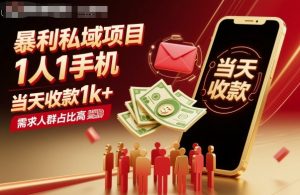 暴利私域项目1人1手机，当天收款1k+，需求人群占比高，当天就能见到钱-泱泱学习社