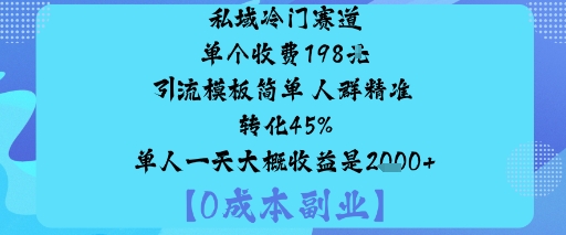 私域冷门赛道:单个收费198米引流模板简单人群精准转化45%单人一天大概收益是1k+-泱泱学习社