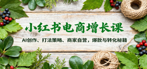小红书电商增长课：AI创作、打法策略、商家自营，爆款与转化秘籍-泱泱学习社