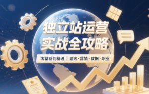2025独立站运营实战全攻略-泱泱学习社