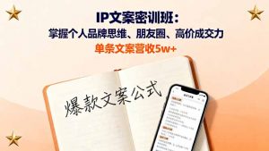IP文案密训班:掌握个人品牌思维、朋友圈、高价成交力,单条文案营收5w+-泱泱学习社