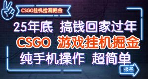 25年底搞钱回家过年，CSGO游戏挂机掘金，纯手机操作超简单-泱泱学习社