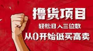 手把手教你撸货，从0开始低买高卖，小白轻松实现日入三位数!!!-泱泱学习社