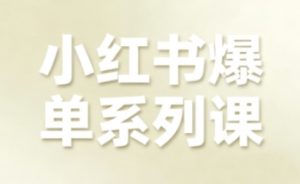 小红书爆单系列课,聚焦小红书电商全链路增长-泱泱学习社