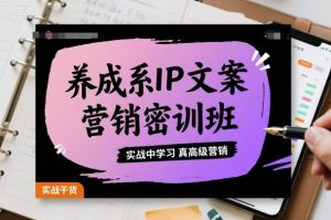 养成系IP文案营销密训班，实战中学习真高级营销-泱泱学习社