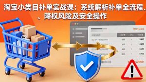 淘宝小类目补单实战课：系统解析补单全流程、降权风险及安全操作-泱泱学习社