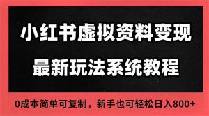 2025小红书虚拟资料最新开店运营教程,搜索流变现玩法,一人多店0成本...-泱泱学习社