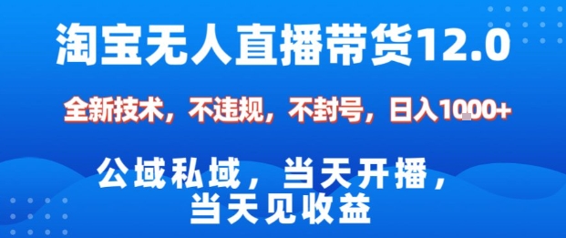淘宝无人直播12.0,公域私域技术,不封号,不违规布局双十一流量风口,日入1k(独家技术)【揭秘】-泱泱学习社