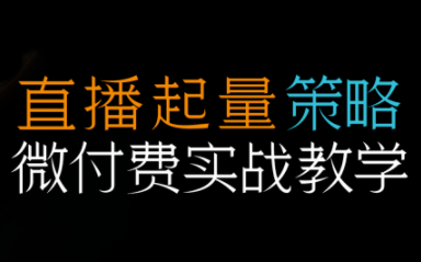 半野老师·直播带货起量与微付费必学课视频号-泱泱学习社