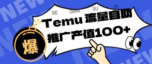 专注于Temu商家提供精准曝光浏览量，助力店铺排名提升和转化，单机日收入80-130【揭秘】-泱泱学习社