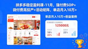 拼多多稳定盈利课-11月，强付费SOP+微付费高投产+活动矩阵，单店月入10w+-泱泱学习社