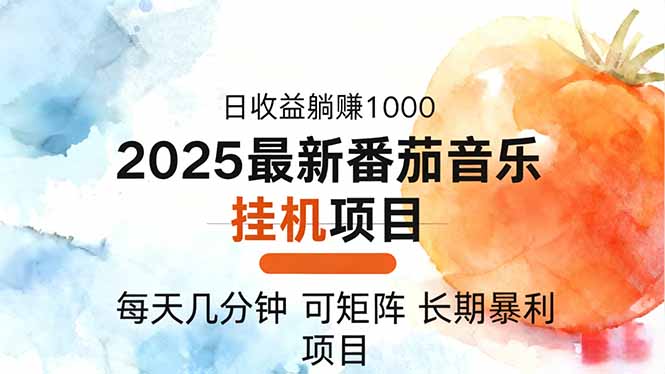 2025年最新番茄音乐人挂机项目，每天几分钟，月入1000＋，可矩阵，一台…-泱泱学习社