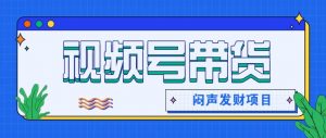 微信视频号带货项目，轻松日赚赚2000+，这个挣钱入口很多伙伴都在闷声发财-泱泱学习社