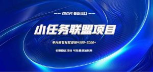 小任务联盟项目:一台电脑每天只需10分钟,轻松简单稳定-泱泱学习社