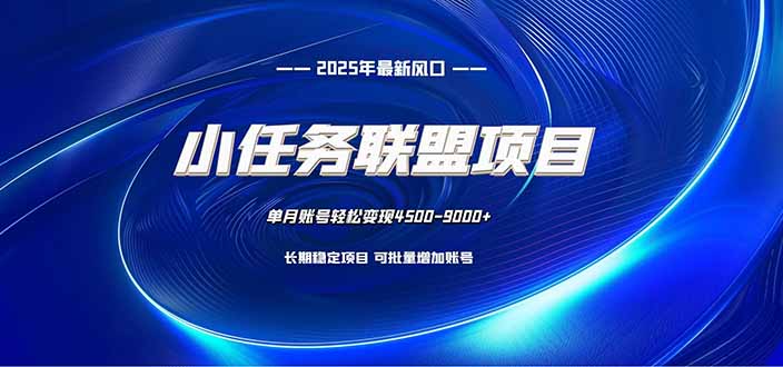 小任务联盟项目:一台电脑每天只需10分钟,轻松简单稳定-泱泱学习社