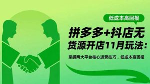 拼多多+抖店无货源开店11月玩法:掌握两大平台核心运营技巧,低成本高回报-泱泱学习社