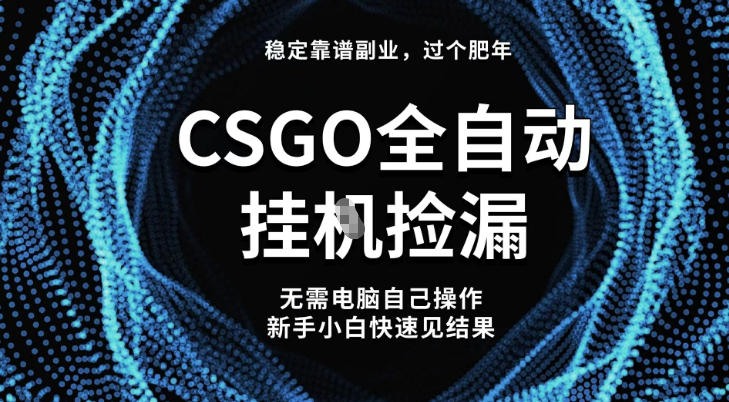 【稳定副业】全球最热门游戏CSGO全自动捡漏,最新玩法,新手小白日入5张+【揭秘】-泱泱学习社